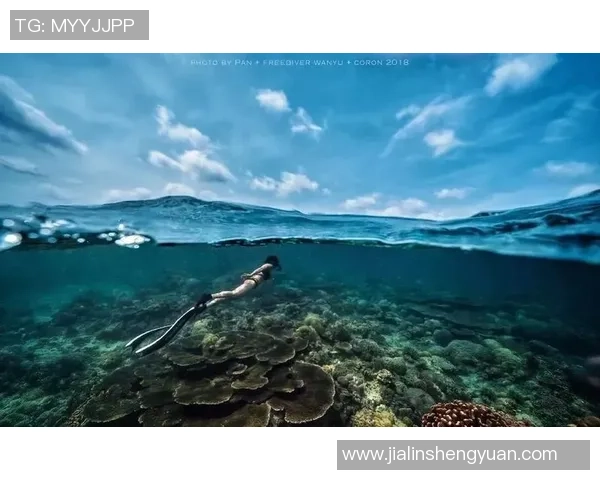 武汉极限运动队与重庆极限运动队赛后分析力量对决的精彩瞬间 武汉极限运动队与重庆极限运动队赛后分析力量对决的精彩瞬间