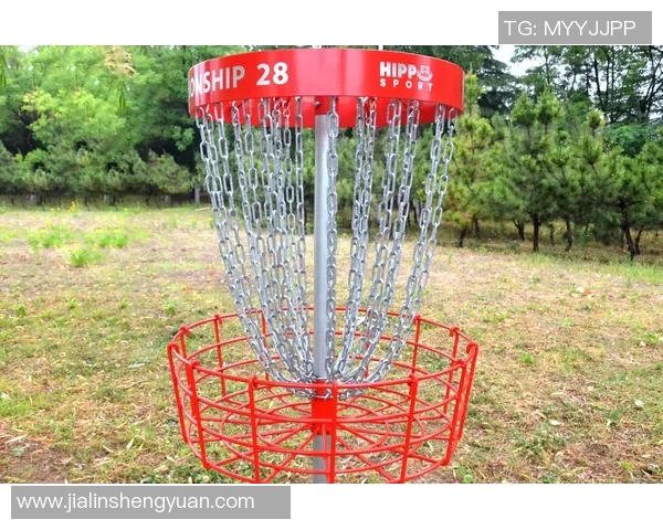 飞盘战术深度解析：北京飞盘队的战术布局与比赛策略探讨